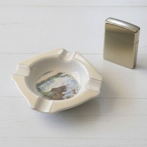 Vintage Occupied Japan Niagara Falls Souvenir Porcelain Ashtray